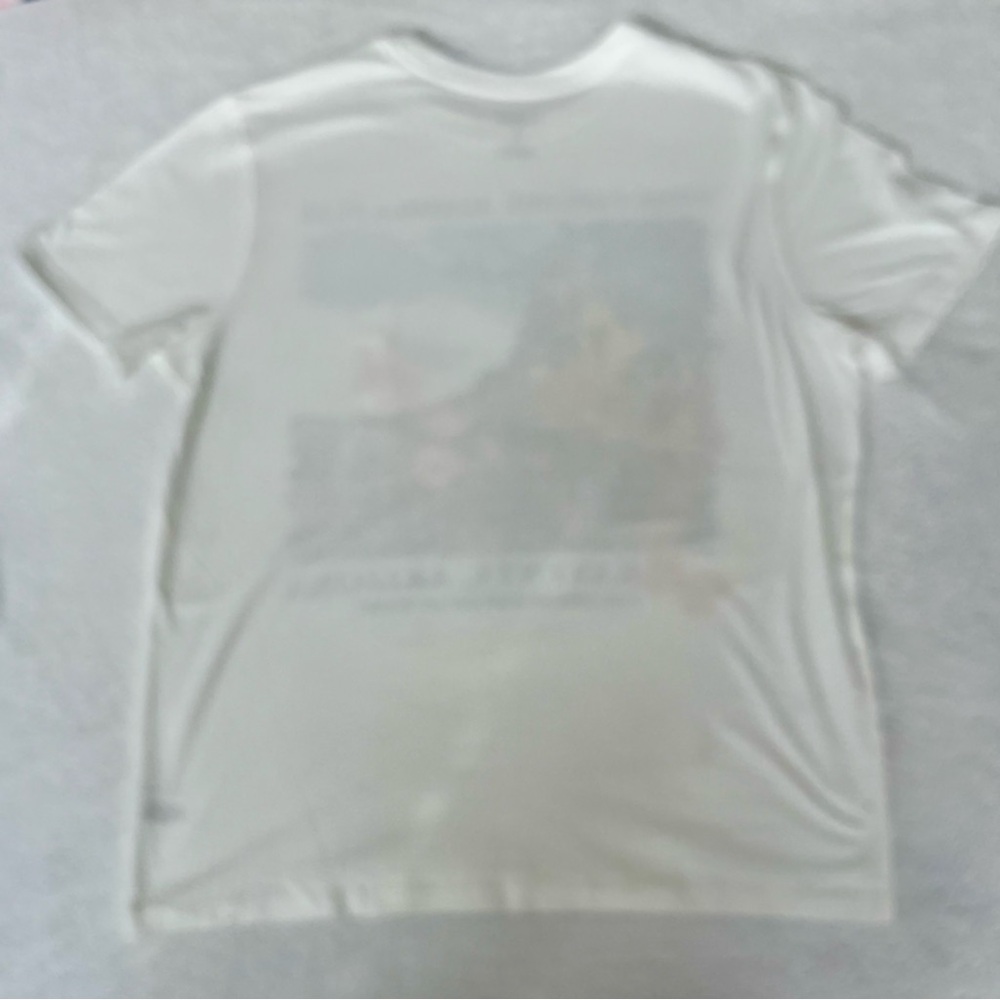 White Graphic T-Shirt with Agathla Peak Design, Men's Fit - Picture 7 of 8